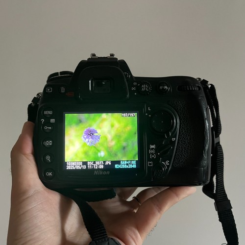 Nikon d300 solo 23k scatti - nikon,