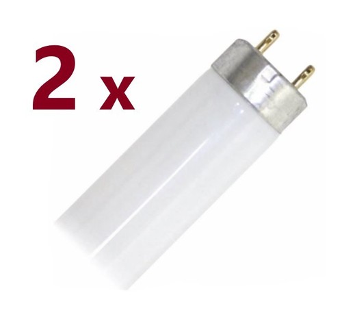 F15t8 15w daylight - f15t8/d,